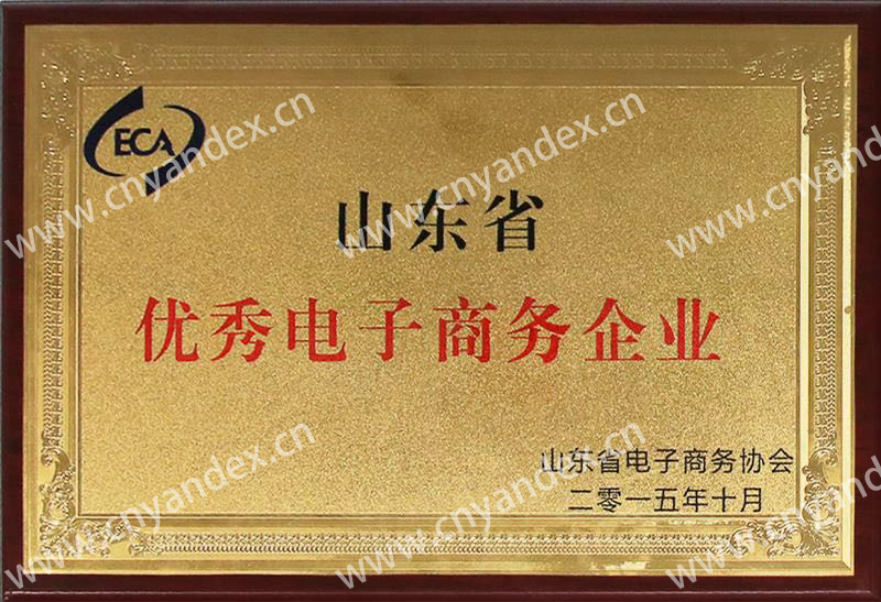 山東省優(yōu)秀電子商務(wù)企業(yè)